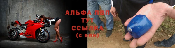 молекула духа Кинешма