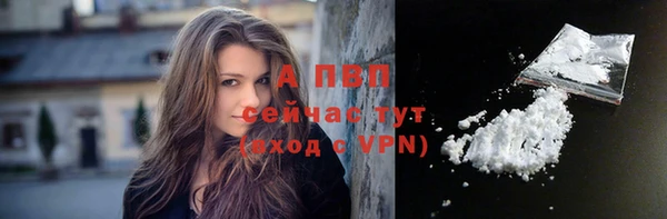 молекула духа Кинешма