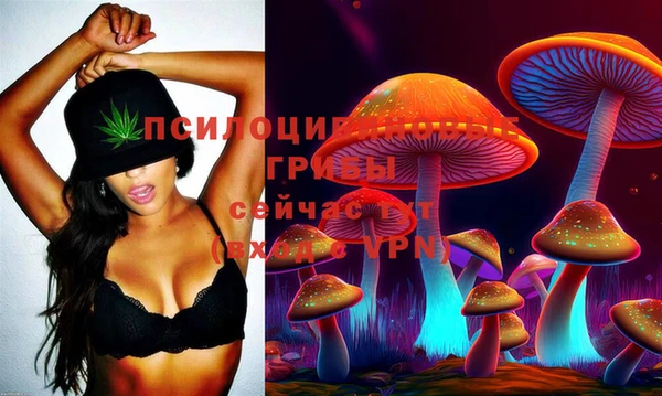 прущие крисы Киреевск