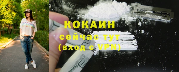 молекула духа Кинешма