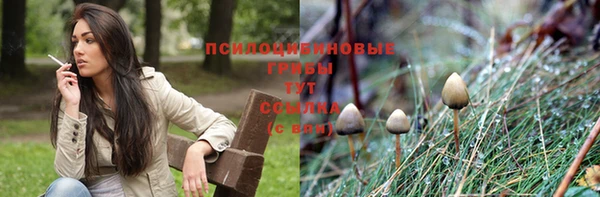 молекула духа Кинешма