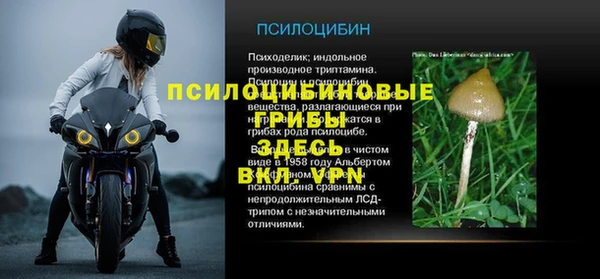 молекула духа Кинешма