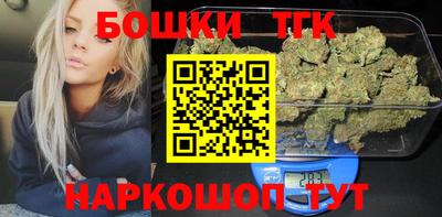 индика Жуковский