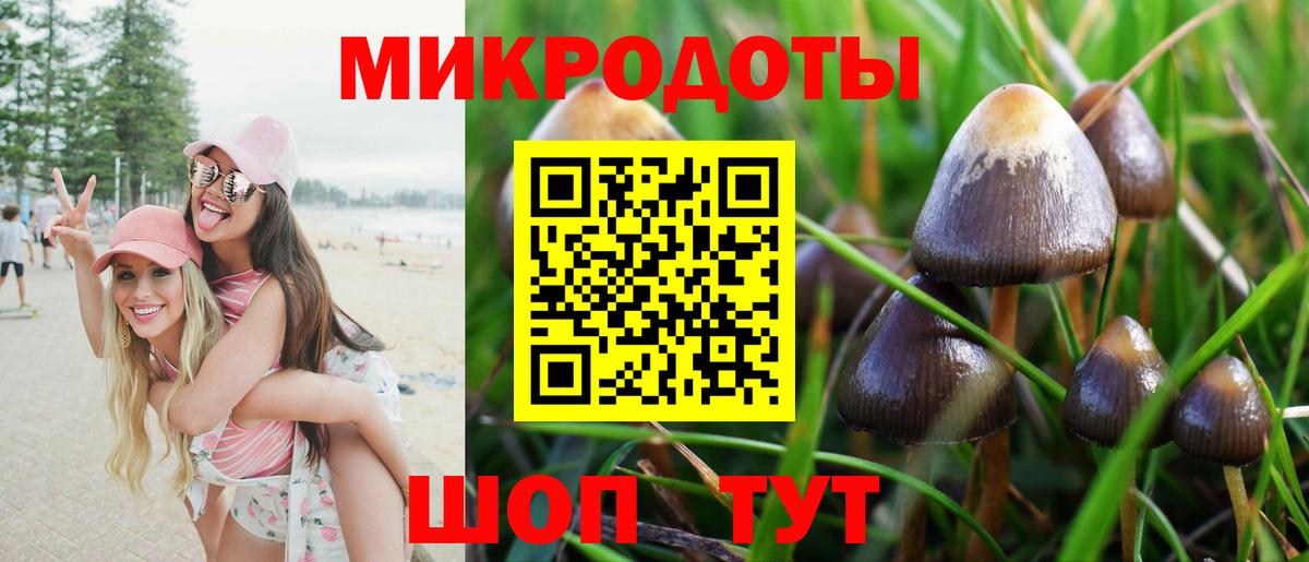 Галлюциногенные грибы Psilocybe Минеральные Воды