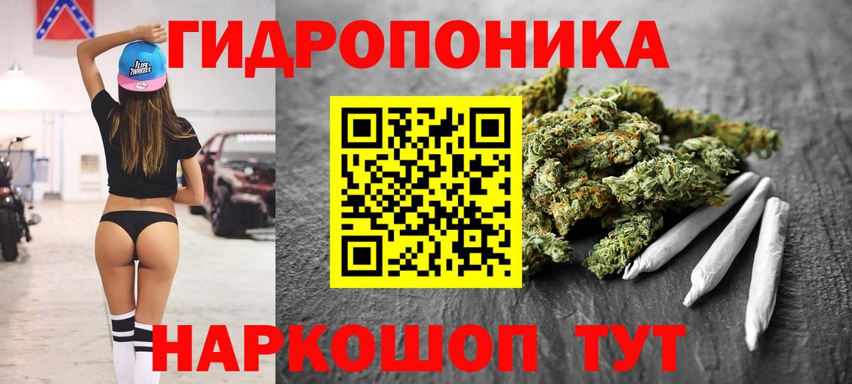 Конопля сатива  Минеральные Воды  Бошки марихуана OG Kush 